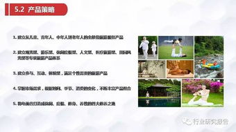 張家界龜仙谷旅游景區(qū)開發(fā)項(xiàng)目商業(yè)計(jì)劃書